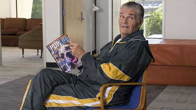 The Compassionate Comedy of Fred Willard