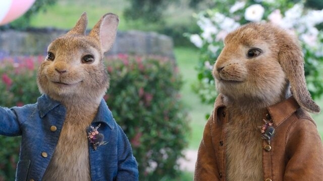 Peter Rabbit 2: The Runaway